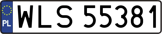 WLS55381