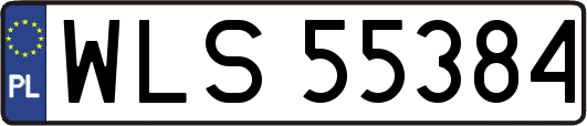 WLS55384