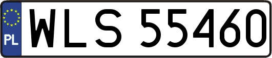 WLS55460