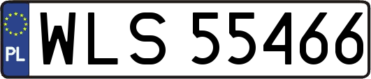 WLS55466