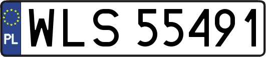 WLS55491