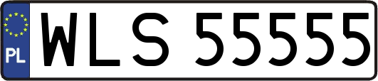 WLS55555