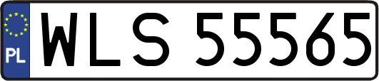 WLS55565