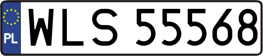 WLS55568