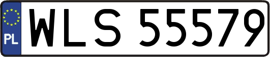 WLS55579