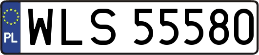 WLS55580