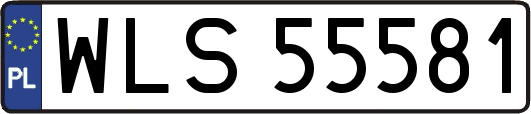 WLS55581