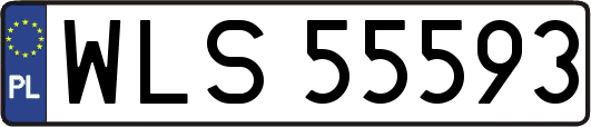 WLS55593