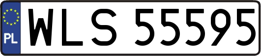 WLS55595