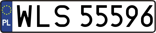 WLS55596