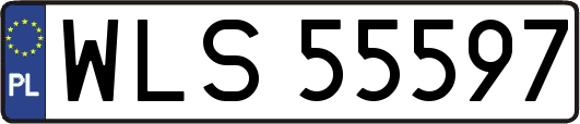 WLS55597