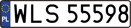 WLS55598