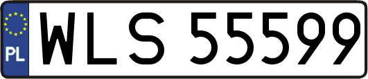 WLS55599