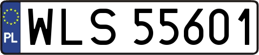 WLS55601