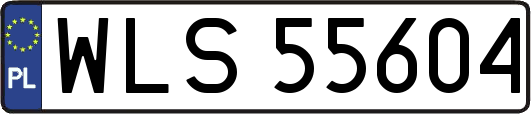 WLS55604