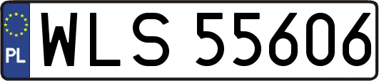 WLS55606