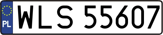 WLS55607