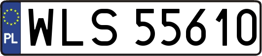 WLS55610