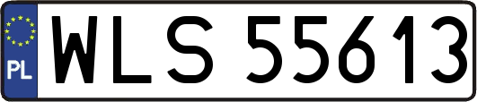WLS55613