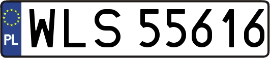 WLS55616