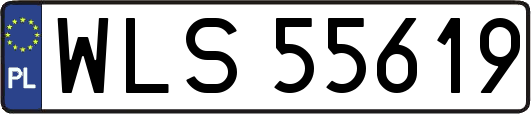 WLS55619