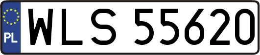 WLS55620