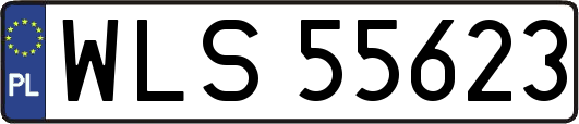 WLS55623