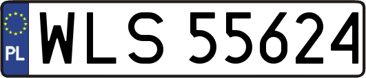 WLS55624