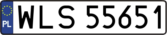 WLS55651