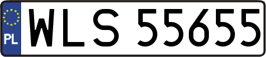 WLS55655