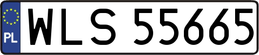 WLS55665