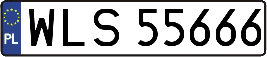 WLS55666