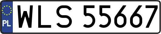 WLS55667