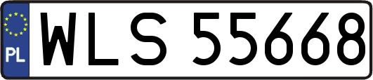 WLS55668