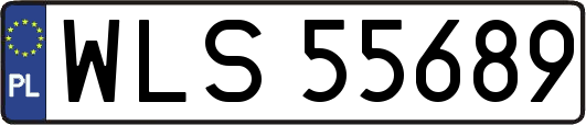 WLS55689