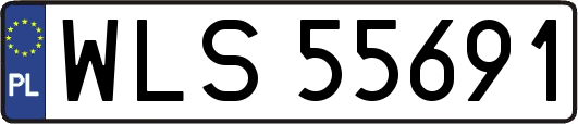 WLS55691
