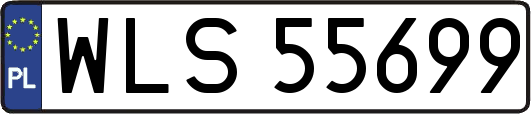 WLS55699