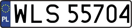WLS55704