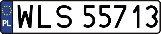 WLS55713