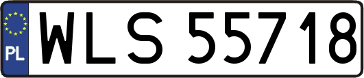 WLS55718
