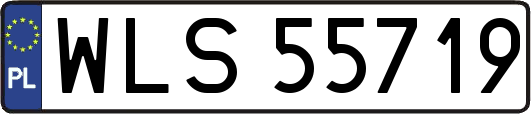 WLS55719