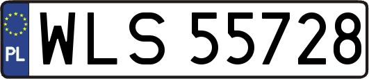 WLS55728