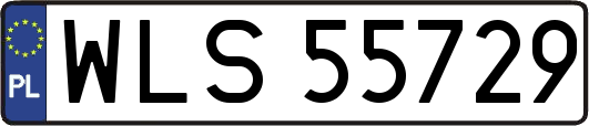 WLS55729