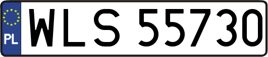 WLS55730