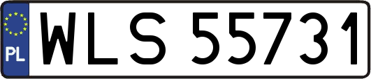 WLS55731