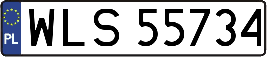 WLS55734