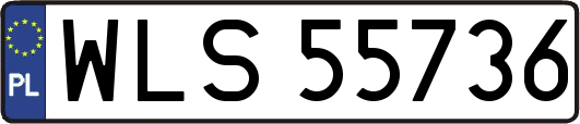WLS55736