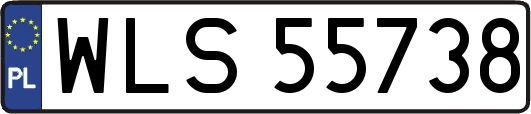WLS55738