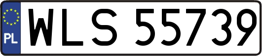 WLS55739