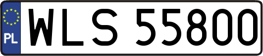 WLS55800